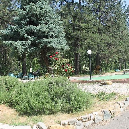 Golden Chain Motel Grass Valley Dış mekan fotoğraf