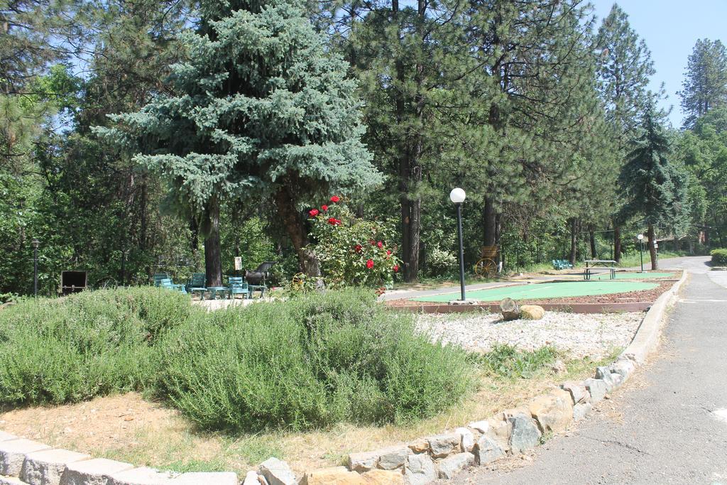Golden Chain Motel Grass Valley Dış mekan fotoğraf