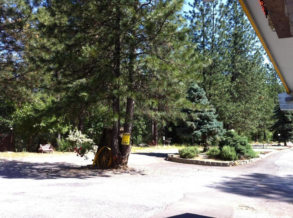 Golden Chain Motel Grass Valley Dış mekan fotoğraf