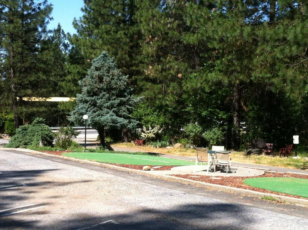 Golden Chain Motel Grass Valley Dış mekan fotoğraf