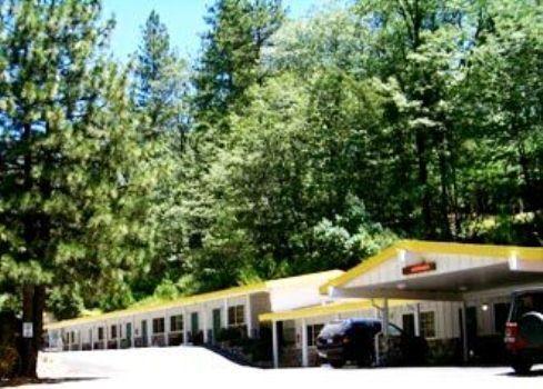 Golden Chain Motel Grass Valley Dış mekan fotoğraf